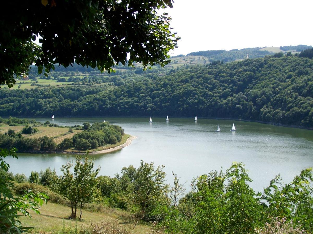 O Fil De L'Eau - Gite En Bord De Lac Saint-Jean-Saint-Maurice-sur-Loire Exterior foto